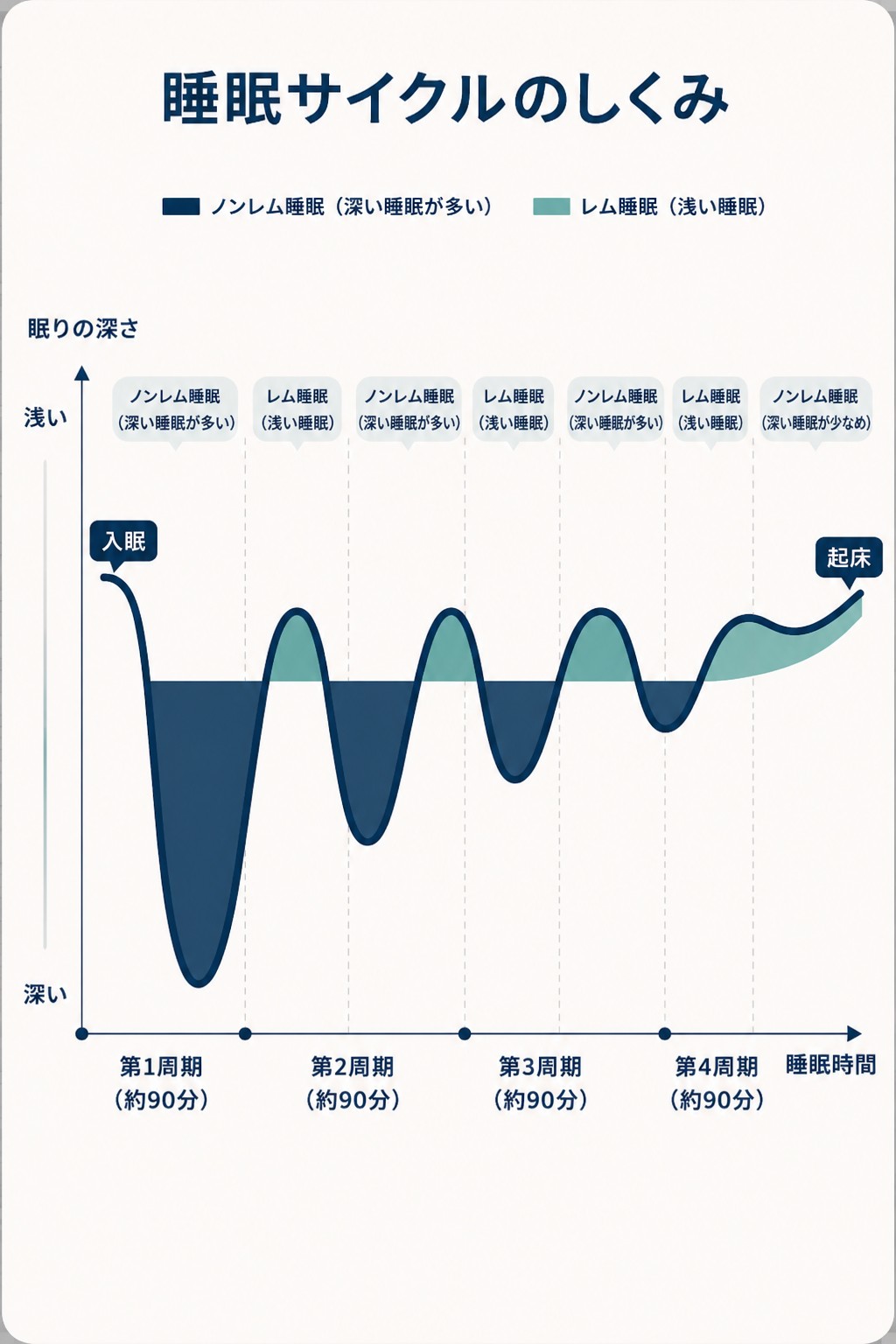 睡眠サイクルのしくみを示したグラフ。ノンレム睡眠とレム睡眠が約90分ごとに交互に繰り返す4周期が示される